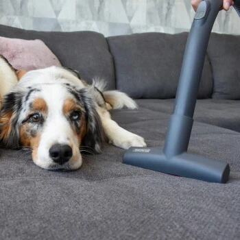 THOMAS Tierhaar Polsterdüse 2 THOMAS Tierhaar Polsterdüse – Bild 2