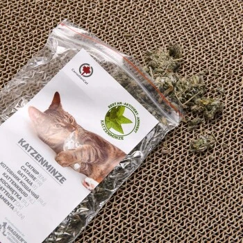 Canadian Cat Company Kratzbrett Jumbo Galaxy Naturfarben 3 Canadian Cat Company Kratzbrett Jumbo Galaxy Naturfarben – Bild 3