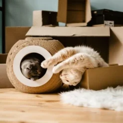 District 70 Kratzmöbel ORB 8 District 70 Kratzmöbel ORB -Hill's Verkäufe 6560d6445e5f805cae3a1d1e8107ae0366b9b4a6 81457cdf11eed55f55edd03c92dee35d68931e4f