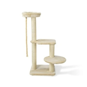 MORE FOR Kratzbaum Gaspar 1 MORE FOR Kratzbaum Gaspar