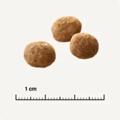 SELECT GOLD Senior +12 Geflügel Mit Reis 3 Kg 10 SELECT GOLD Senior +12 Geflügel Mit Reis 3 Kg -Hill's Verkäufe 6db53d99e99530132bf34d8482d69f423780c004 1081823016 de DE 6