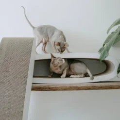 District 70 OVAL OFFICE 5 District 70 OVAL OFFICE -Hill's Verkäufe 831fbabbbef20a6bf01041756be566a379676472 d33c75c7ac5b0d38c69db8116774e729c24458c6