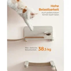 FEANDREA Clickat Katzen-Futterstation Erhöht -Hill's Verkäufe 872e60080947c3bbed4a42474423d98dea511312 1681429 de DE eb52cddfe415e1f7867b75805347ff5b8a8fc97bQOHhYK