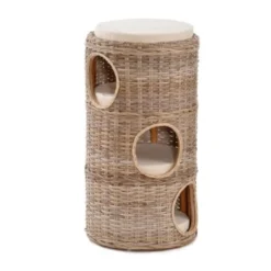 Rohrschneider Katzenturm Ricki