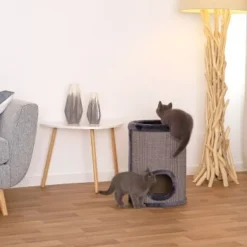 Lionto 50cm Kratztonne Mit Sisal Kratzturm Grau 9 Lionto 50cm Kratztonne Mit Sisal Kratzturm Grau -Hill's Verkäufe a86444f992595dab6c432c59c00489ae8f26170d 1657063 de DE 73e2d8f267fbc6a643c9e6451e54e96ce9d7adfdQrvB4e