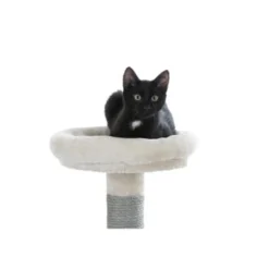 Kerbl Kratzbaum Creative Adventure -Hill's Verkäufe cd831c82afd6be187c9e1aebf4a78e2ebe782c44 ce7c27aa5a680126ca08b882797ce2b921ff7a47