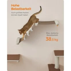 FEANDREA Clickat Katzenmöbel 2er Set, Kletterwand -Hill's Verkäufe ea7e627724db534c6e0464771932a5ea554c0b07 1681501 de DE 69b299a2a0b5f1d93e61abe664375afb5e8ca6e9R2CgKk