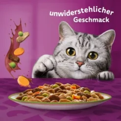Whiskas Tasty Mix Multipack Chef's Choice In Sauce 40 X 85g 15 Whiskas Tasty Mix Multipack Chef's Choice In Sauce 40 X 85g -Hill's Verkäufe f6e2ae102927feafb9e342708a0412557690953c 1410720 de DE Whiskas 6