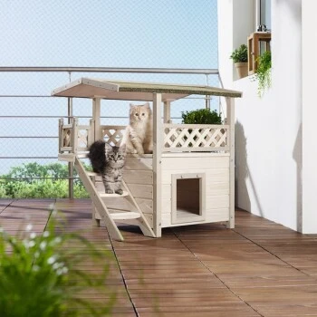 Titelseite -Hill's Verkäufe f74b0461acd7afe4807db05fc0ff62fbb66a86cd ed5292de4ddd405c01daa452c881c1e90f2ceb7b